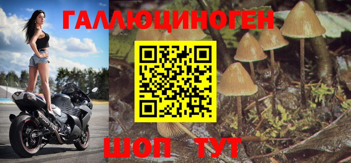 Псилоцибиновые грибы мухоморы Похвистнево